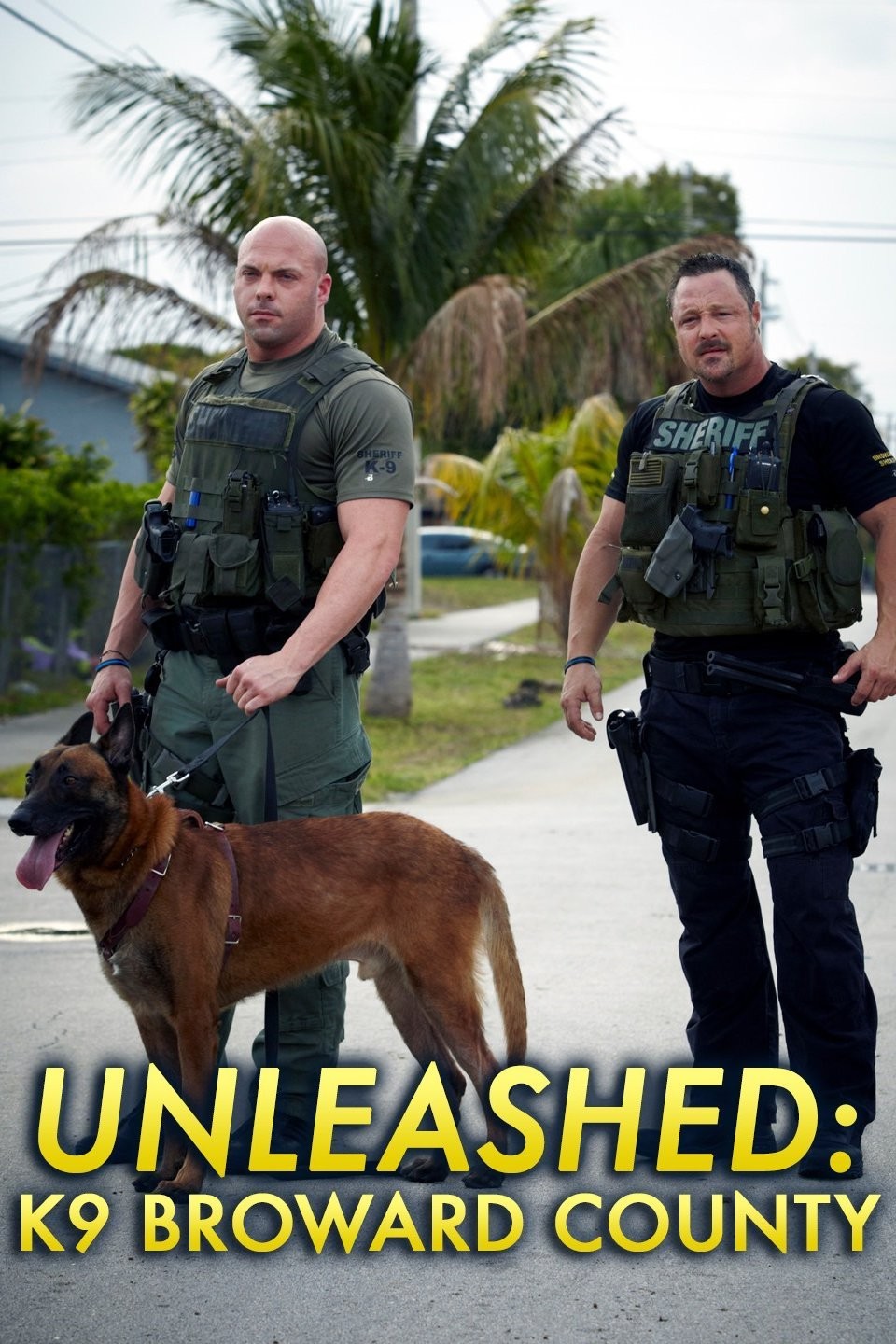 k9 unleashed